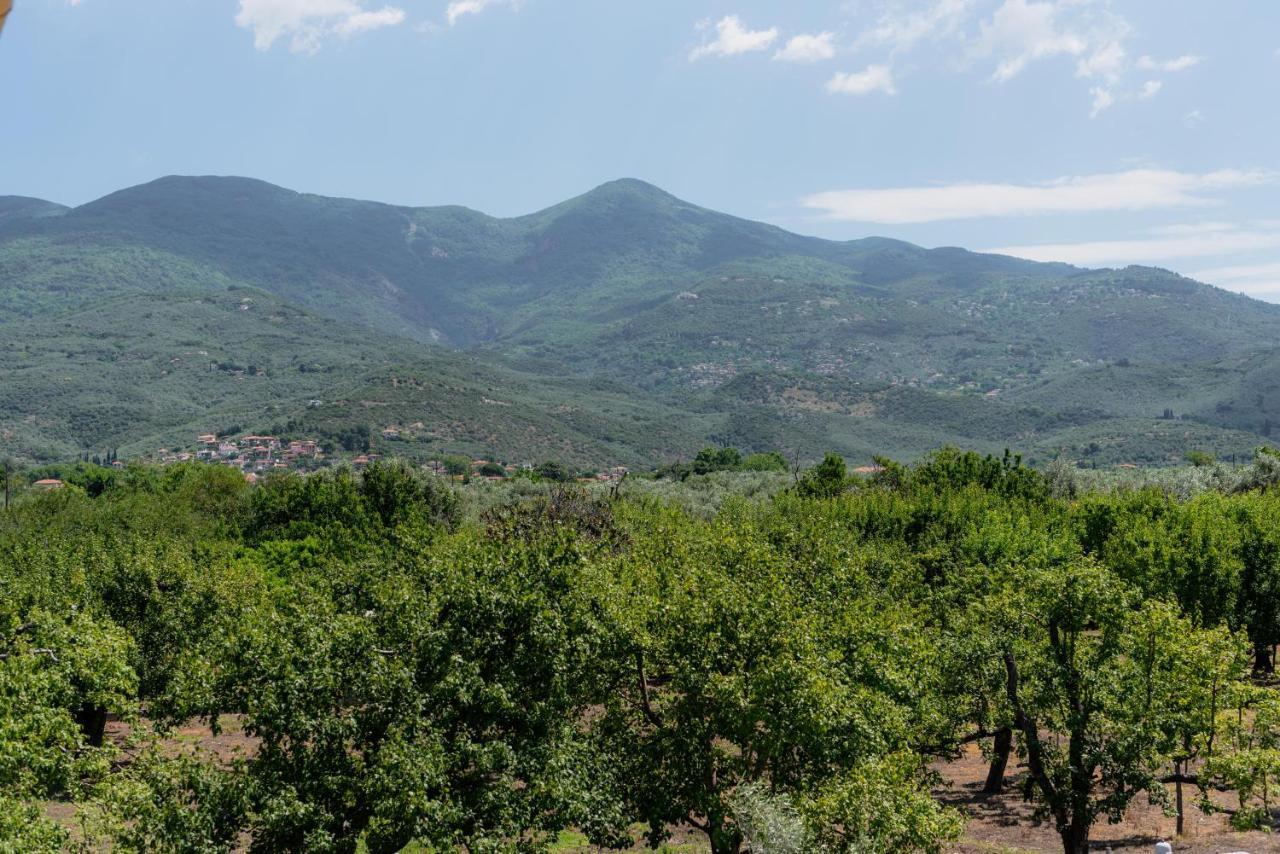 Karavos Grove Villa Káto Lekhónia Dış mekan fotoğraf